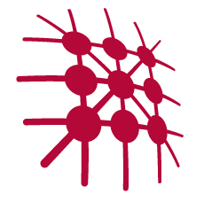 SCALE Network logo